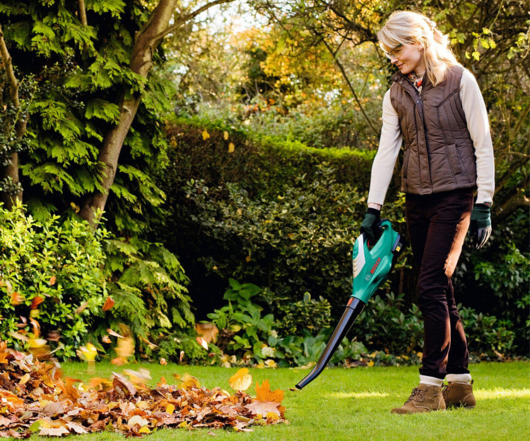 Аккумуляторная воздуходувка Bosch ALB 18 LI