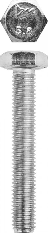 Болт ЗУБР 303080-10-065