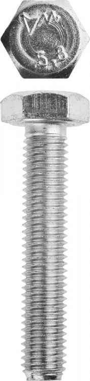 Болт ЗУБР 303080-10-055