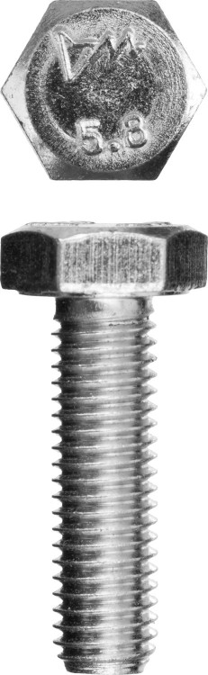 Болт ЗУБР 303080-10-035