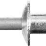 Заклепки вытяжные STAYER 31205-48-25