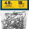 Заклепки стальные ЗУБР 313126-40-10