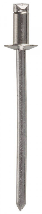 Заклепки из нержавеющей стали ЗУБР 4-31315-32-10-1000