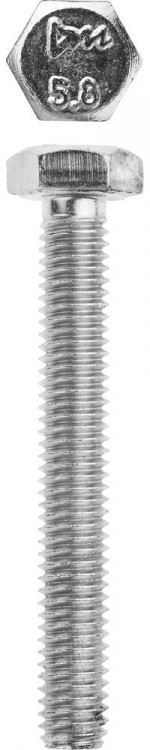 Болт ЗУБР 303080-06-045