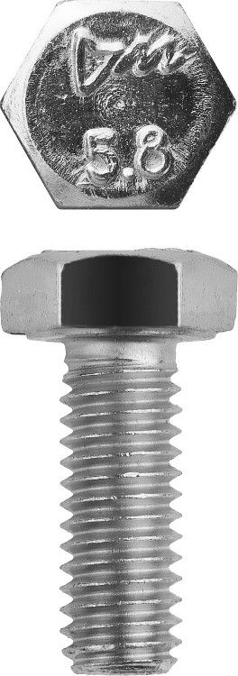 Болт ЗУБР 303080-06-012