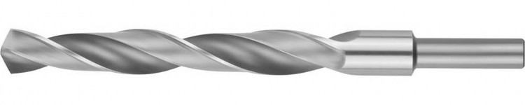 Сверло ЗУБР 4-29621-169-15