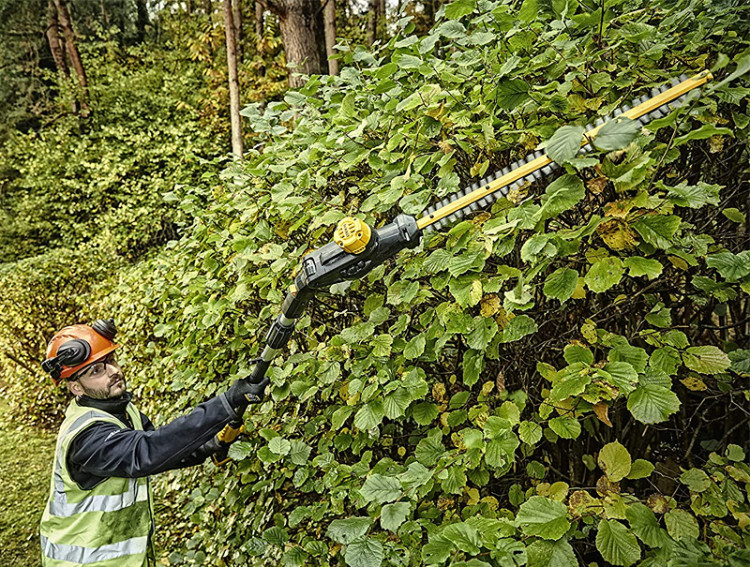 Кусторез DeWALT DCMPH566P1