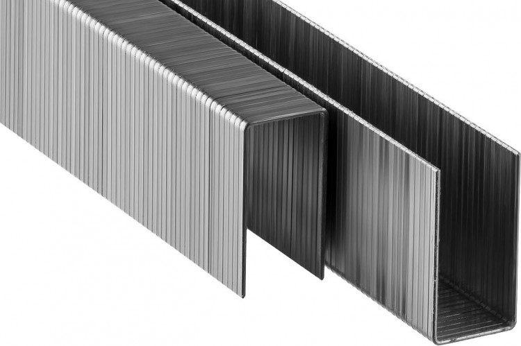 Скобы ЗУБР 31950-22