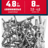 Алюминиевые заклепки ЗУБР 313106-48-08