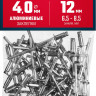 Алюминиевые заклепки ЗУБР 313106-40-12