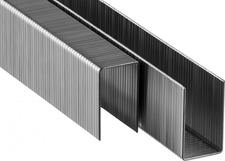 Скобы ЗУБР 31950-19