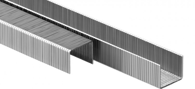 Скобы ЗУБР 31880-10