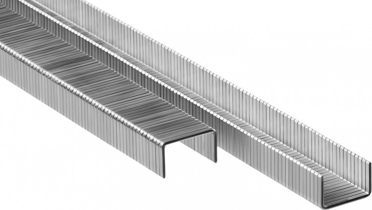 Скобы ЗУБР 31880-08