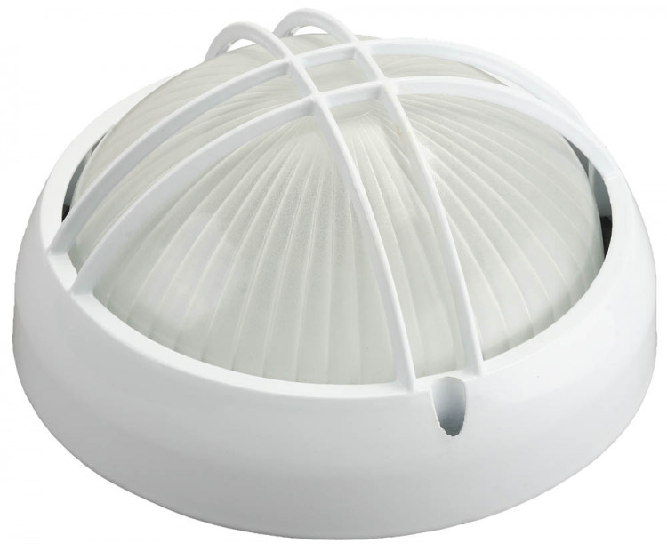 Светильник уличный СВЕТОЗАР SV-57311-W